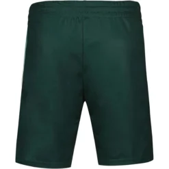 SHORT LE COQ SPORTIF TENNIS PRO NEW YORK -Équipement De Tennis 2421443 vert 4