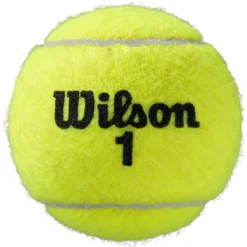 Tube De 4 Balles Wilson Roland Garros All Court -Équipement De Tennis 350900082 3
