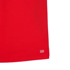 POLO LACOSTE DJOKOVIC EURO CLAY -Équipement De Tennis dh7311 f8m rouge 8