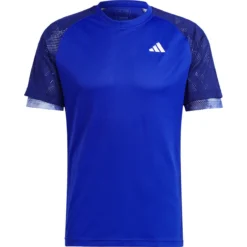 T-SHIRT ADIDAS RAGLAN ZVEREV MIAMI -Équipement De Tennis ht7207 bleu 6